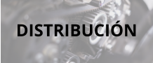 DISTRIBUCIÓN